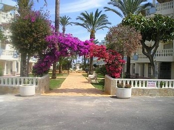 Аренда апартаментов Дения Dénia - Апартаменты в аренду в Дении Denia Пляж Леc Маринес Les Marines, Лас Маринас Las Marinas Дения Фотографии