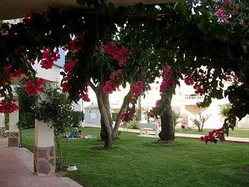 Аренда апартаментов Дения Dénia - Апартаменты в аренду в Дении Denia Пляж Леc Маринес Les Marines, Лас Маринас Las Marinas Дения Фотографии
