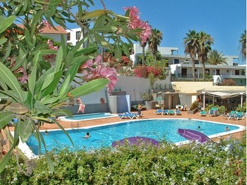 Аренда апартаментов Остров Тенерифе Юг Tenerife Sur - Апартаменты в аренду в центре Плайa де лас Америкас Playa de las Americas Юг Тенерифе Фотографии