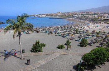 Аренда апартаментов Остров Тенерифе Юг Tenerife Sur - Апартаменты в аренду в центре Плайa де лас Америкас Playa de las Americas Юг Тенерифе Фотографии