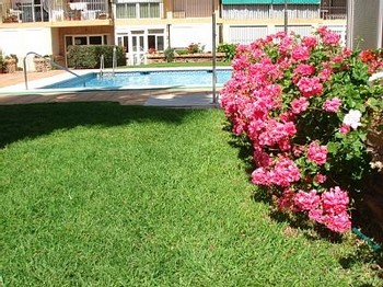 Аренда апартаментов Торремолинос Torremolinos - Апартаменты в аренду Торремолинос Torremolinos Пляж Ла Кариуэла La Carihuela Фотографии