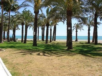 Аренда апартаментов Торремолинос Torremolinos - Апартаменты в аренду Торремолинос Torremolinos Пляж Ла Кариуэла La Carihuela Фотографии