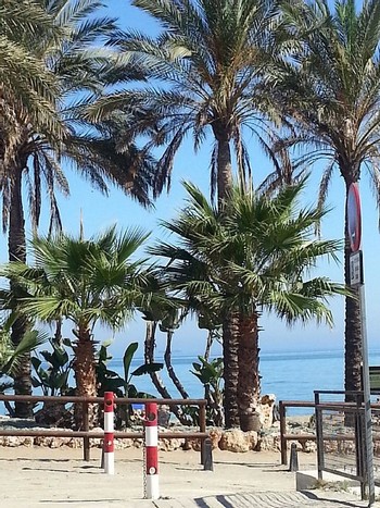 Аренда апартаментов Михас Коста Mijas Costa - Апартаменты в аренду Михас Коста Mijas Costa Пляж Калаонда Calahonda Фотографии