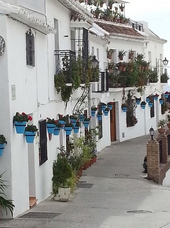 Аренда апартаментов Михас Коста Mijas Costa - Апартаменты в аренду Михас Коста Mijas Costa Пляж Калаонда Calahonda Фотографии