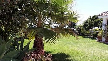 Аренда виллы Михас Коста Mijas Costa - Вилла в аренду Михас Коста Mijas Costa Пляж Костабелья Costabella Фотографии