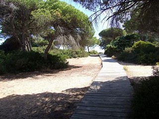 Аренда Виллы Кадис Cádiz Коста де ла Лус Costa de la Luz - Вилла в аренду Пляж Ла Барроса La Barrosa Фотографии