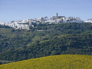 Аренда Виллы Кадис Cádiz Коста де ла Лус Costa de la Luz - Вилла в аренду Пляж Эль Пальмар El Palmar Фотографии