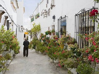 Аренда Виллы Кадис Cádiz Коста де ла Лус Costa de la Luz - Вилла в аренду Пляж Эль Пальмар El Palmar Фотографии