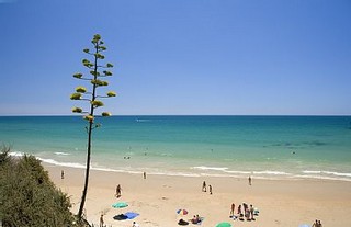 Аренда Виллы Кадис Cádiz Коста де ла Лус Costa de la Luz - Вилла в аренду Пляж Эль Пальмар El Palmar Фотографии